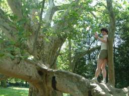 Lers: product image 1